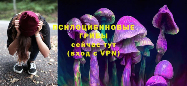 прущие крисы Покачи