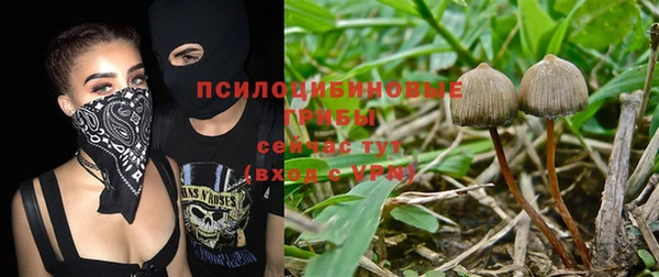 стаф Покров