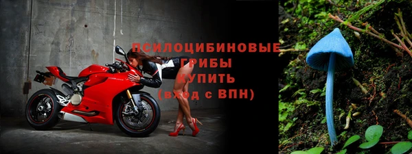 прущие крисы Покачи