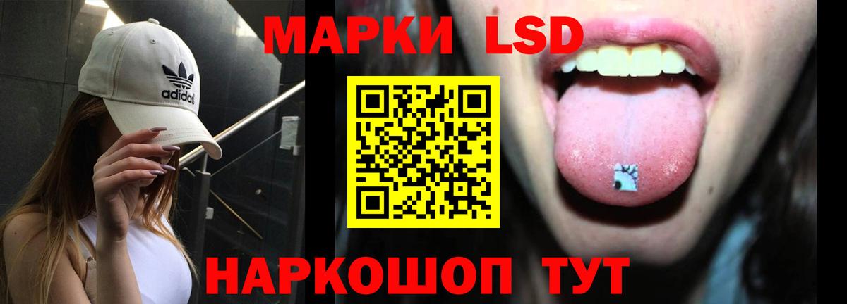 A PVP Асино
